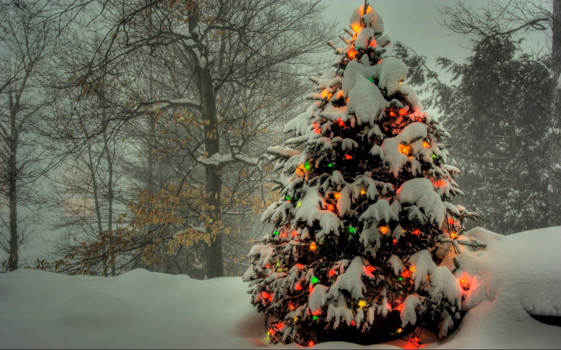 Pomul de Crăciun în zăpadă